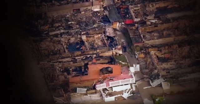 Business of Disaster