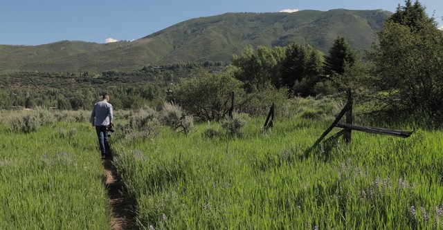 The Path Forward