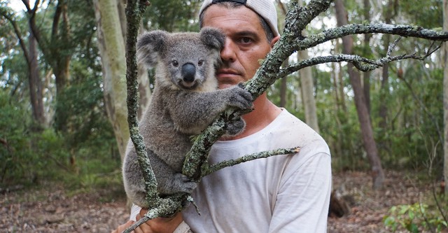 Wild Frank en Afrique