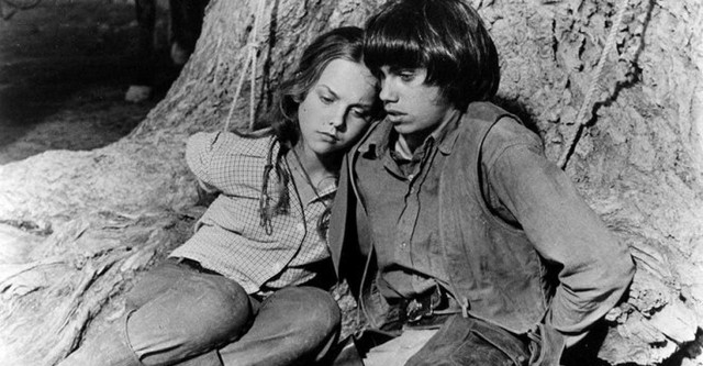 Renegado pelo Destino