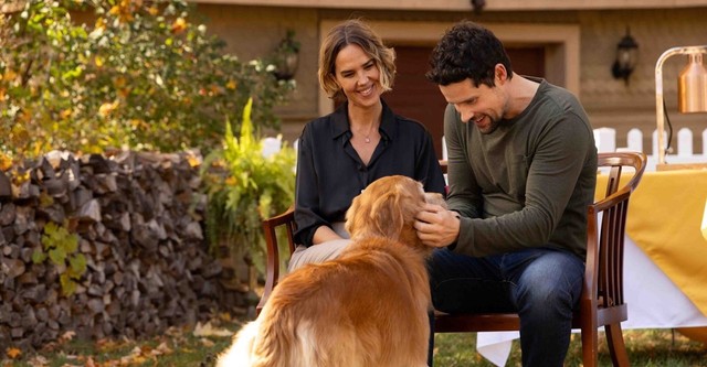 Валентинка на четири лапи