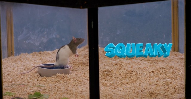 Squeaky the Rat