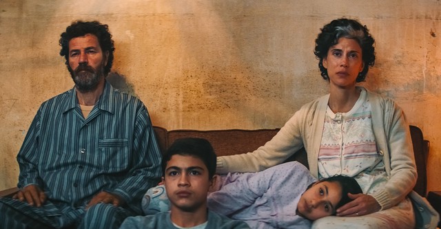 Im Schatten des Orangenbaums