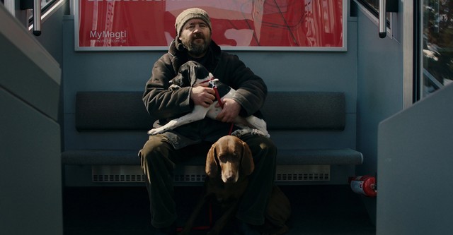 Snowflakes in my Yard