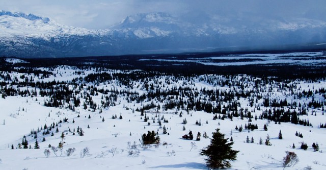 Alaska, la dernière frontière
