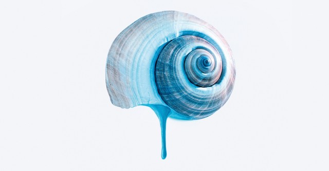 O Último Azul