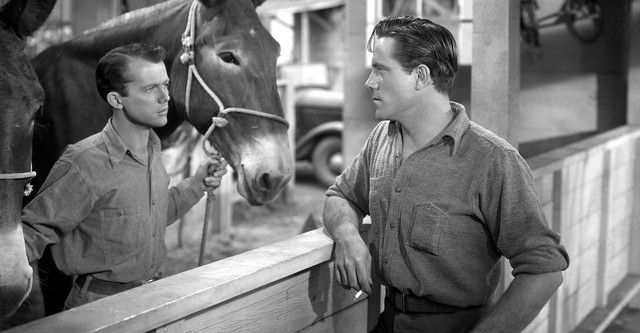 Scudda Hoo! Scudda Hay!