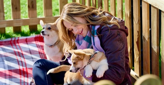 A Royal Corgi Christmas - Weihnachten wird königlich