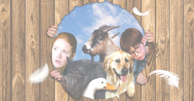 Pets