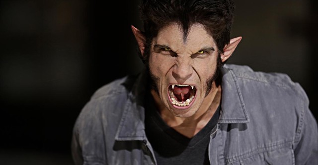 الذئب المراهق