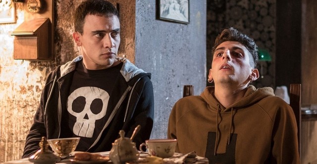 The Armadillo's Prophecy