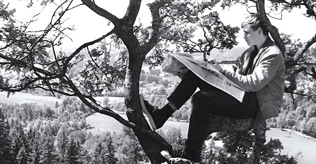 Die Wilderer vom Teufelsmoor