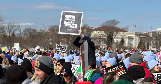 Sexe faible : L'Amérique en guerre contre ses femmes