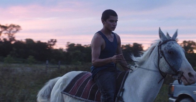 Songs My Brothers Taught Me