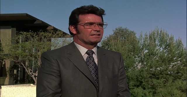 The Rockford Files