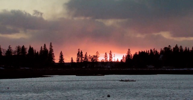 Acadia Sights & Sounds