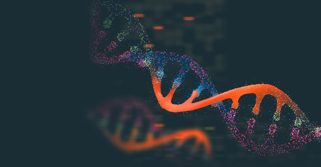 Decoding Watson