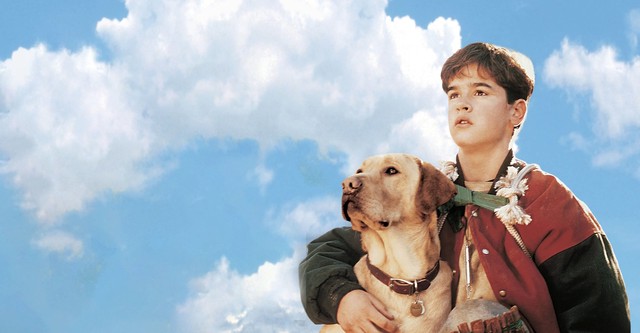 Far from Home: The Adventures of Yellow Dog