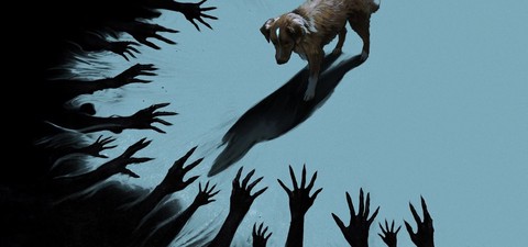 10 Filmes de Terror Feitos de uma Perspectiva Inesperada