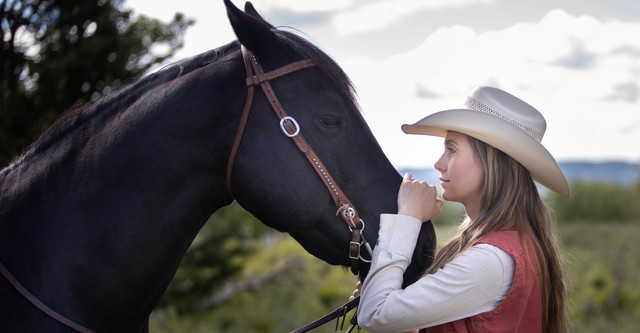 Heartland - Paradies für Pferde
