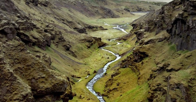 Terre, Les Forces du Vivant