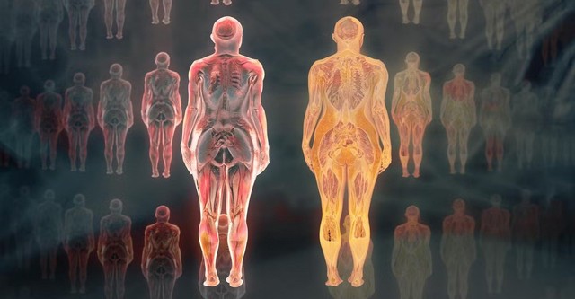 Notre corps, ce réseau social