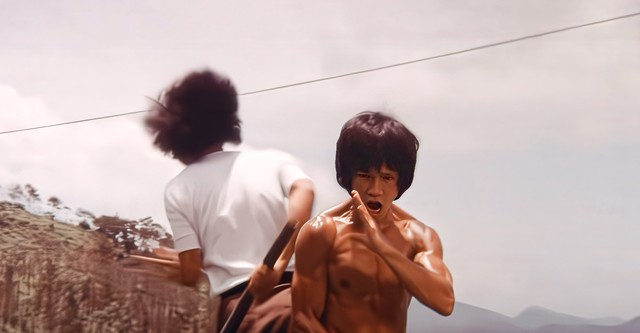 Face au Tigre, l'évadé de Hong Kong