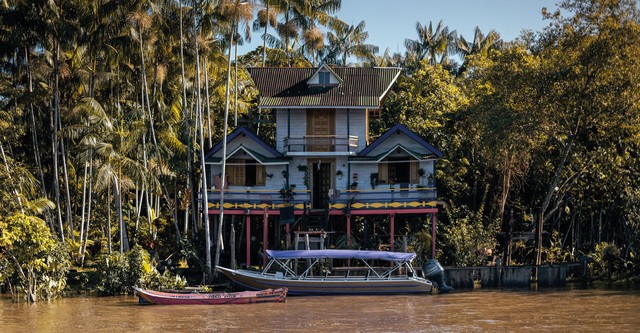 Carpinteiros da Amazônia