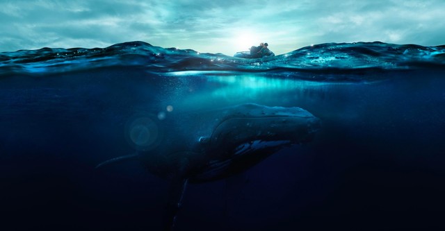 Fathom