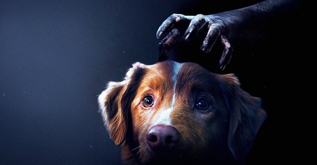 Good Boy