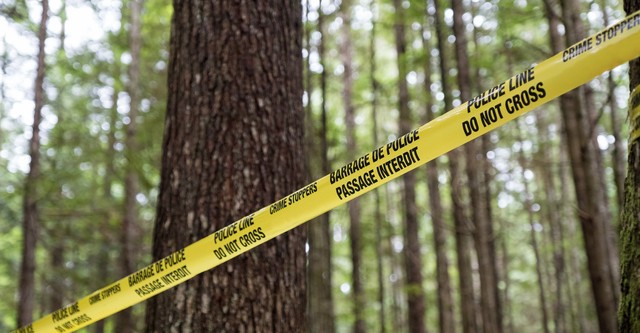 Detectives: My Killer Case