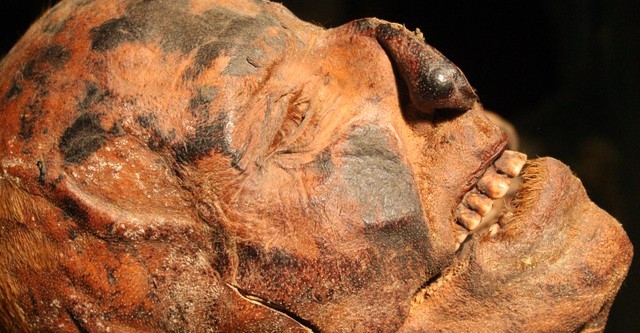 Serial Killer Culture TV