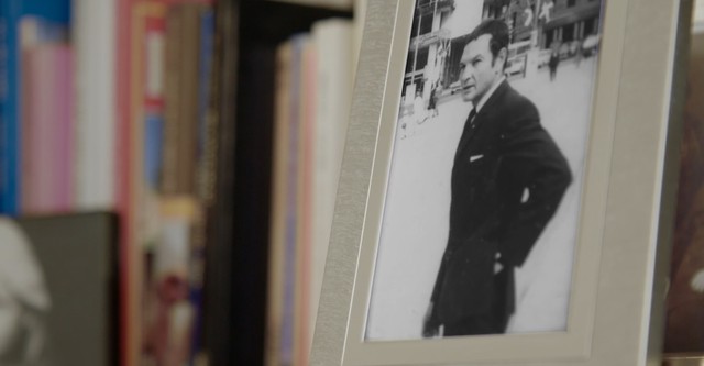 Shaike - HaChayim HaNistarim shel Shaike Ophir