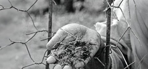 How to Watch Every Filmfare Award Winner for Best Film from 1954 to 2024 – A Complete Streaming Guide