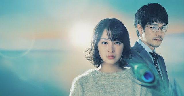 Quem Viu o Pavão Dançando na Floresta?