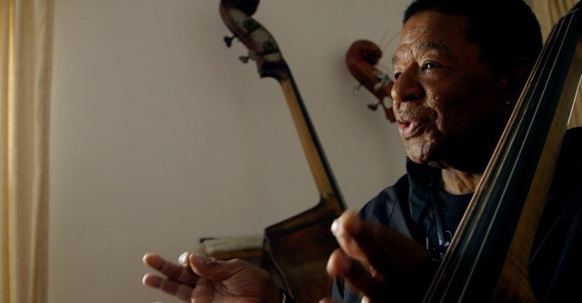 Buster Williams Bass to Infinity