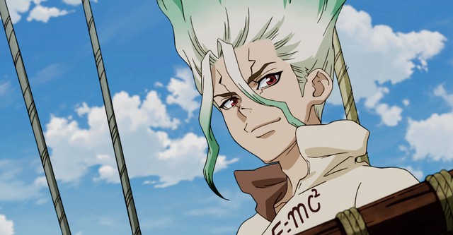 Dr. Stone