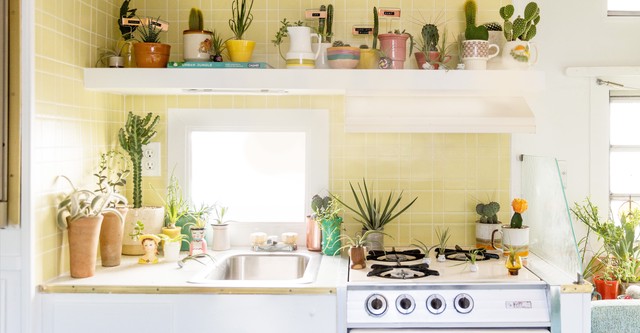 La tienda de las plantas de Mikey y Jo