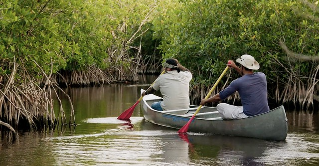 Swamp People: Serpent Invasion
