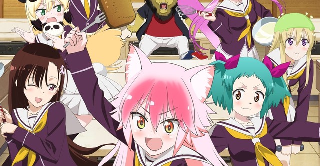 Seton Academy: Join the Pack!