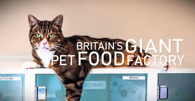 Inside the Pet Food Factory