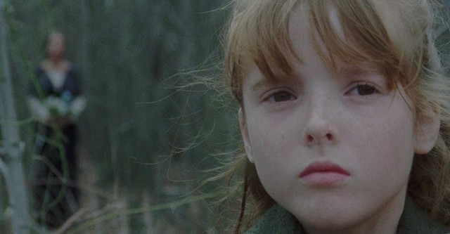 Дом на краю кладбища