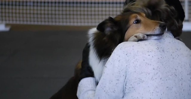 Unleashed! A Dog Dancing Story