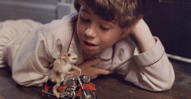 The Mouse and the Motorcycle