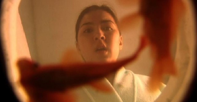 Shake Rattle & Roll 2k5