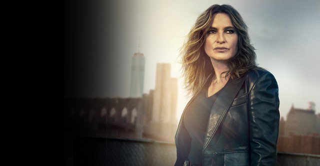 Lei & Ordem: Unidade Especial