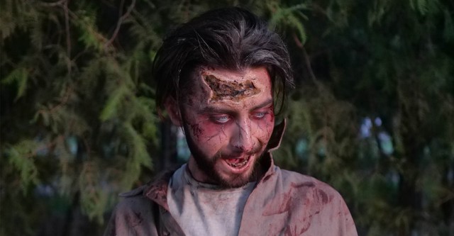 The House of Van Helsing