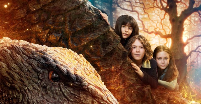 Valdes Jul - Vintermiraklet