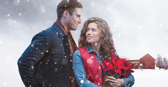 Zurück zu den Weihnachtssternen