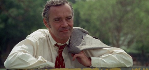 Las mejores películas de animales y donde verlas online